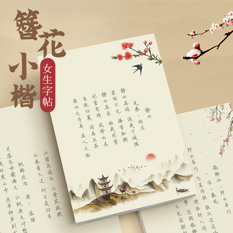 Chinese Calligraphy Practice Book - Cahier de calligraphie à style floral