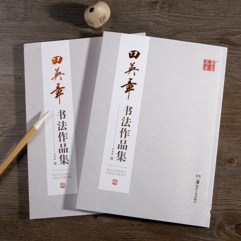 Ouyang Xun – cahier de calligr - Chinese Calligraphy Practice Book avis et prix