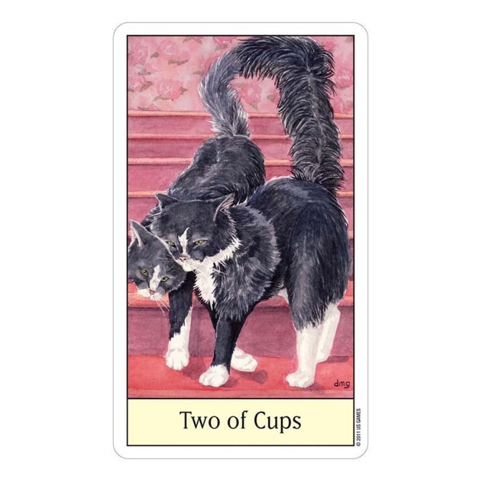 Jeux de cartes Tarot œil de ch - Tarot Deck With Guidebook avis et prix