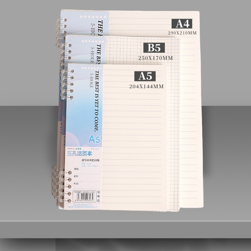 Recharges pour cahier à feuill - A5 Spiral Dotted Grid Notebook avis et prix